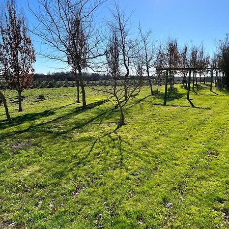 Pa Landet 아파트 노르보르